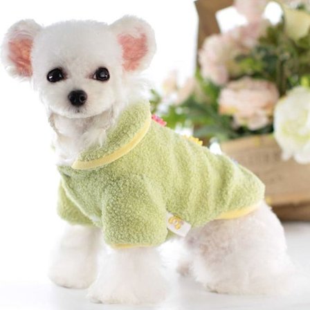 Hundhuvtröja Husdjurskläder Hund Katt Kläder Söt Husdjurskläder Varm Huvad Vinter Varm Valp Fransk Bulldog Pug (M, Grön)