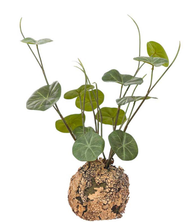 Mr Plant Kunstig Plante Stephania H30