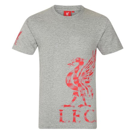 Liverpool FC Pojkar Crest T-Shirt 8-9 År Grå
