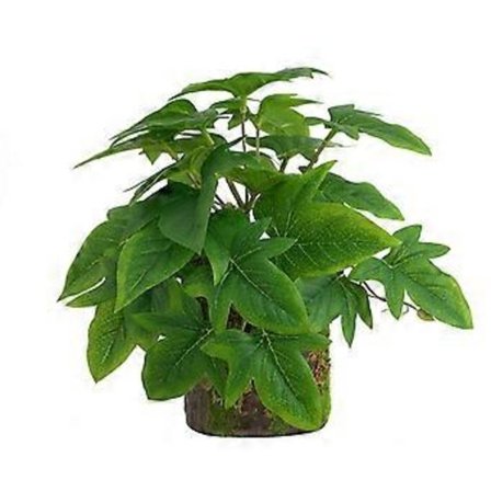 Reptilplanter Klatreplanter Bonsai Grønne-Planter Bonsai Habitat Indretning til Firben Gekkoer Slanger Terrarium