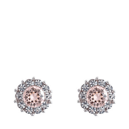 Lily and Rose Miss Sofia Earrings - Silk Smycken & klockor Dam Rosa ONESIZE