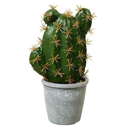 Tropiske plantepottede planter med potter Kreative ornamenter Kaktus Simulerings plante Bonsai style1