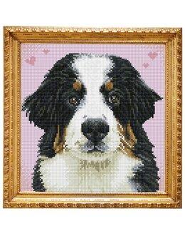 Diamond Dotz Bester Freund