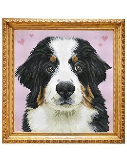 Diamond Dotz Bästa vän