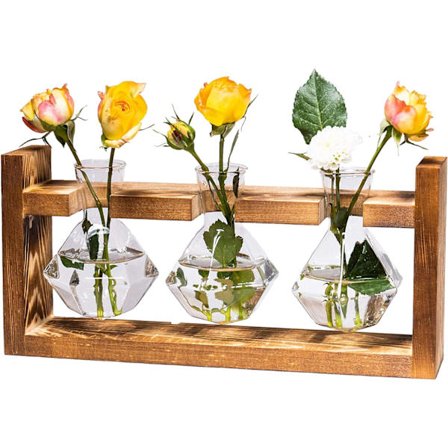 Propagation Station 3 Mur Vaser med Trestativ, Glass Vase for Hydroponics, Hjem Hage Kontor