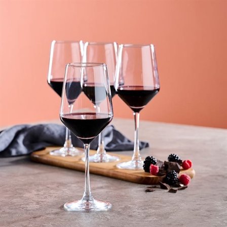 Viinilasit Day 51 cl – 4 kpl