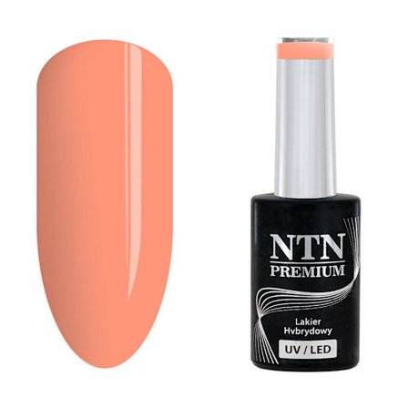 NTN Premium - Gel polish - Delight Sorbet - Nr152 - 5g UV gel/LED