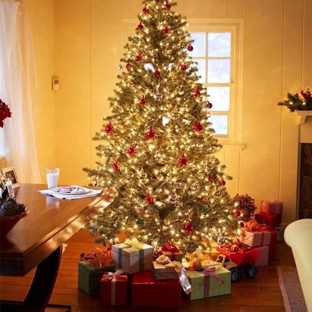 Utendørs lyslenke 100m 1000 LED LED-lyslenke KLB