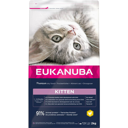 Eukanuba - Cat Kitten Healthy Start 2 kg - Katt - Kattefôr & kattemat - Tørrfôr for katt - ZOO.no