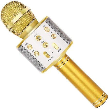 Wireless Bluetooth Karaoke Microphone With Speaker & Record Function