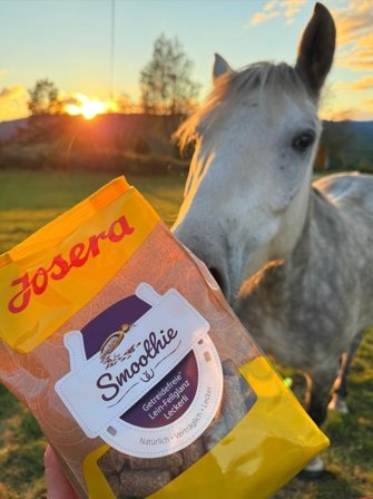 Josera Smoothie Linfrø - Godbit til Hest