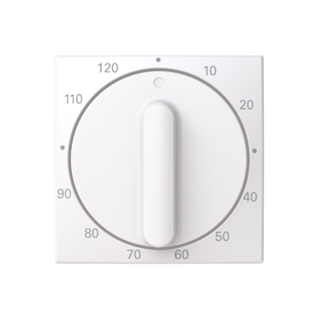 ABB Saga 1771-916-103-510 Senterplate for korttidstimer 0-120 min, Strømbrytere & vegguttak