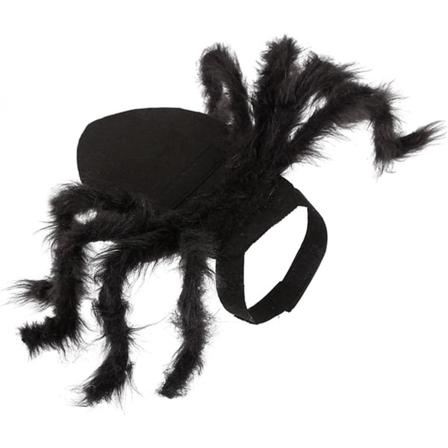Kattekostume, Chic Halloween Kat Hund Tøj Halloween Tilbehør