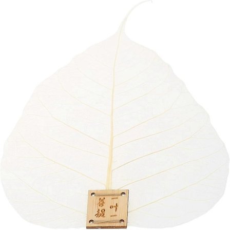 Te-infusionskande Te Kaffe Filter Blad Filter Te Si Drikkevarer Te-service Te-ceremoni Værktøjer -Yx