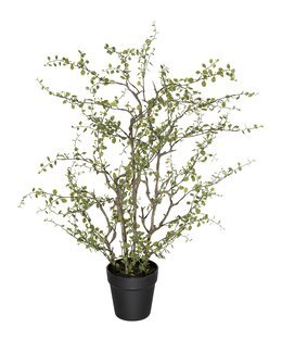 Kunstplante Pletter i luften 70 cm