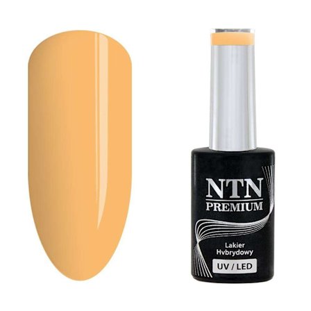 NTN Premium - Gel polish - Show - Nr110 - 5g UV gel/LED