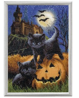 Stickpackung Bild Seltsamkeit