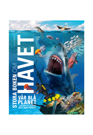 Lind & Co Stora Boken Om Havet Böcker ONESIZE