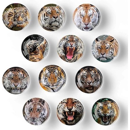 Set med 12 kylskåpsmagneter i glas - 35 mm (Tiger)