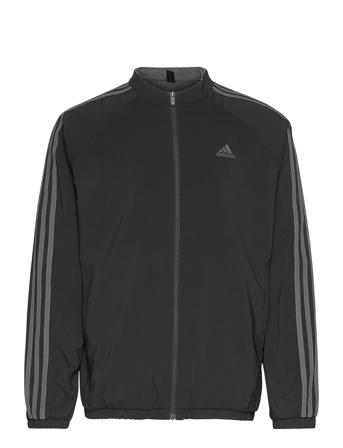 Lined Fz Jkt Black Adidas Golf