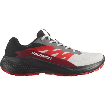 Salomon Alphaglide GTX Lunar Rock/Black/Biking Red