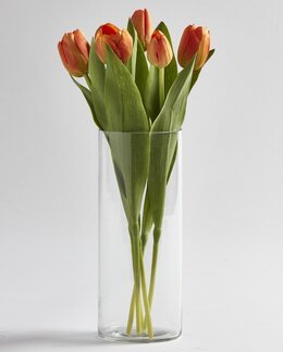 Konstväxt Tulpan 5-pack Orange - Mr Plant