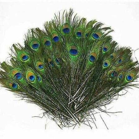 100 stk Naturlige Påfugl Halefjer 10-12'' til Buket DIY Dekoration-Xin 50PCS