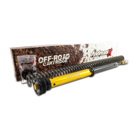 Andreani Spring Conversion Kit - KTM 250 SX-F 2016-2020