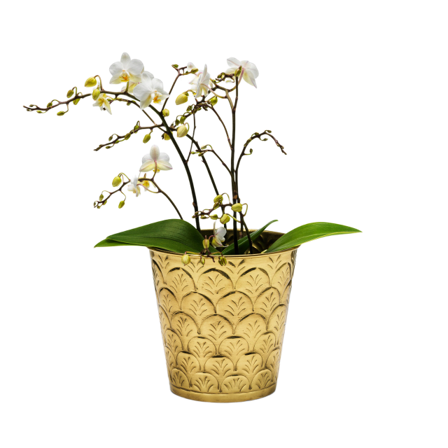 In Flore Cleo Blomkruka Krukor & vaser Guld