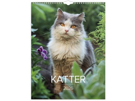 Burde Väggkalender Stora Kattkalendern 2026 - Lyreco - Almanackor och kalendrar - Väggkalendrar - Bildkalendrar