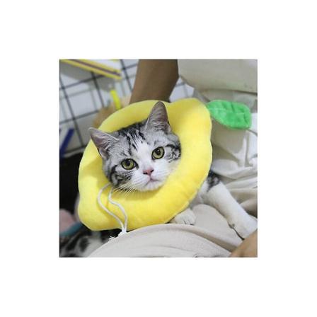Katt återhämtningskrage, justerbar husdjur anti-bitande skyddskrage mjuk söt husdjur katt krage huva M