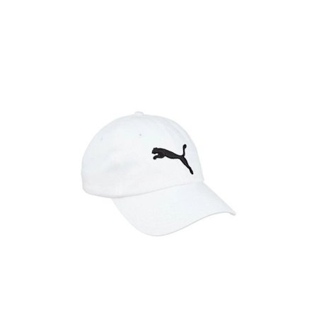 ESS Cap 052919-02