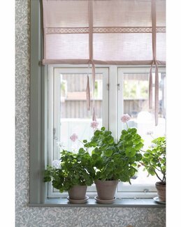 Roll-up gardin Sanna Rosa