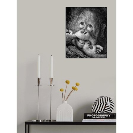 Big Smile.....Please