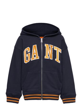 D1. Graphic Full Zip Hoodie Patterned GANT