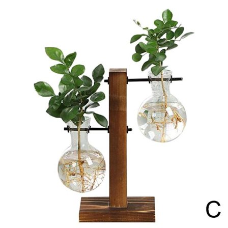 Hydroponisk Transparent Glas Vas Planter Träram Blomma Va