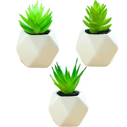 3 stk mini sukkulenter pottet mote kreativ små ornamenter