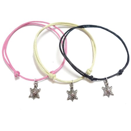 Fotband med Sköldpadda 3-pack