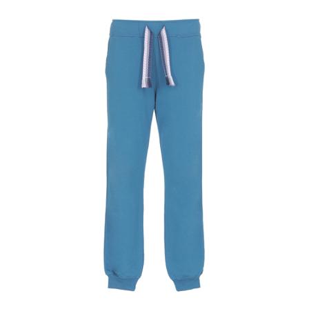 Lanvin, Trousers Blauw, Heren, Maat:M