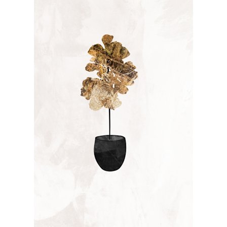 Black And Gold House Plant 6