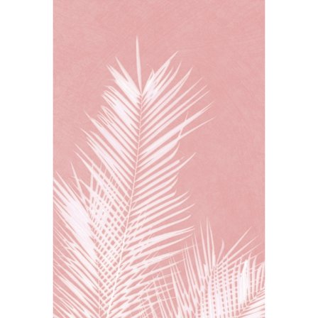 Palm Leaves On Pink Silhouette Ii