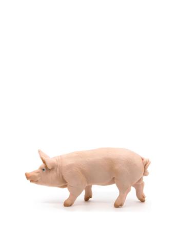 Boar Pink Papo