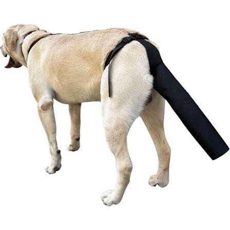 Halebeskytter for hund, halebeskyttelse for hund, halebeskyttelse for sår, svart hundesele