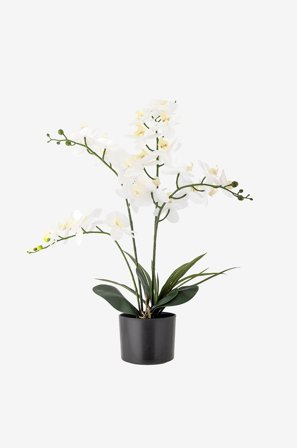 Bloomingville - Orchid Växt - Grön - Konstgjorda växter & plastblommor - Från Homeroom