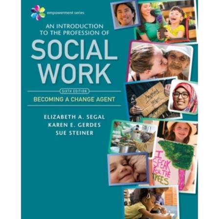 Empowerment Series: An Introduction to the Profession of Social Work (häftad, eng)