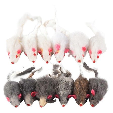 Ægte Pels Mus Kattelegetøj Kæledyrslegetøj Børnelegetøj 12-pak