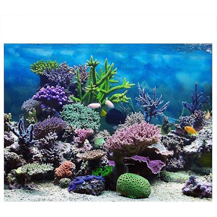 Akvarieposter, korallfisk akvariumbakgrund dukdekoration 3D pappersklistermärken marina växter(61 * 30cm)