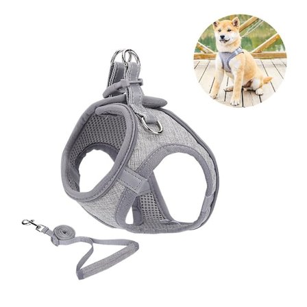 Liten Hundesele, Valpesele, Myk Hundesele og Båndsett med Reflekterende Halsbånd