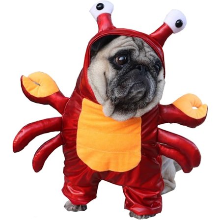 Halloween Hundekrabbe Kostume Vinter Kæledyrs Hoodie Sjov Bulldog Tøj Kattedragt Puupy Tøj til Små Mellemstore Hunde (S