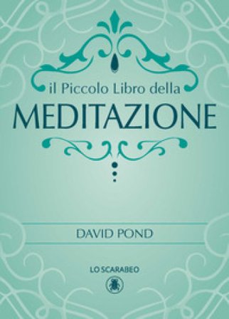 Il piccolo libro della meditazione David Pond